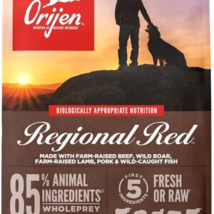 Orijen Grain Free Regional Red Dry Food for Adult Dogs