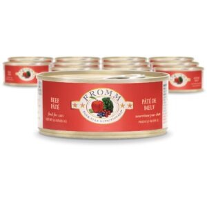 Fromm Four Star Chicken & Salmon Pate Canned Food for Adult Cats - 5.5oz