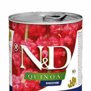 Farmina N&D Quinoa: Digestion Lamb Canned Food for Adult Dogs - 10oz