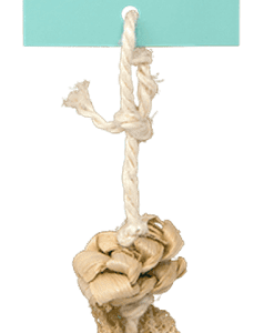 Oxbow Enriched Life Natural Play Dangly Toy for Small Animals