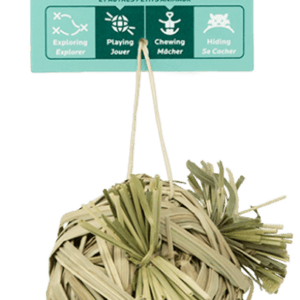 Oxbow Enriched Life Crazy Hay Ball Toy for Small Animals
