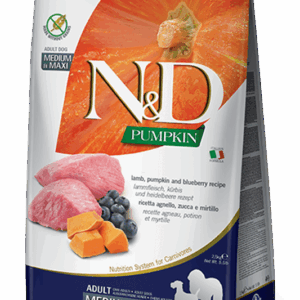 Farmina N&D Pumpkin: Lamb & Blueberry Dry Food for Medium/Maxi Adult Dogs