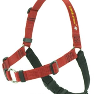 Sense-ation Harness