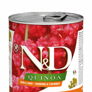 Farmina N&D Quinoa: Skin & Coat Line Herring Canned Food for Adult Dogs - 10oz