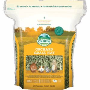 Oxbow Orchard Grass Hay