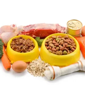 Pet Food