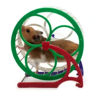 Small Animal Toys