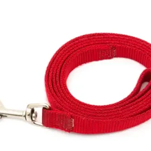 Leashes / Collars / Restraints